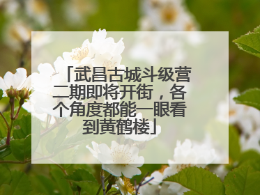 武昌古城斗级营二期即将开街，各个角度都能一眼看到黄鹤楼